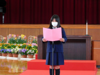 DSCN3678