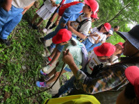 IMG_0791